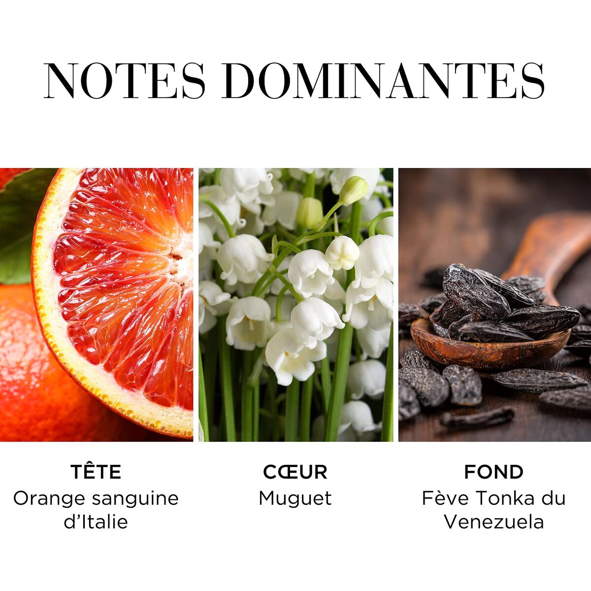 Women's Perfume Elizabeth Arden WHITE TEA by Elizabeth Arden