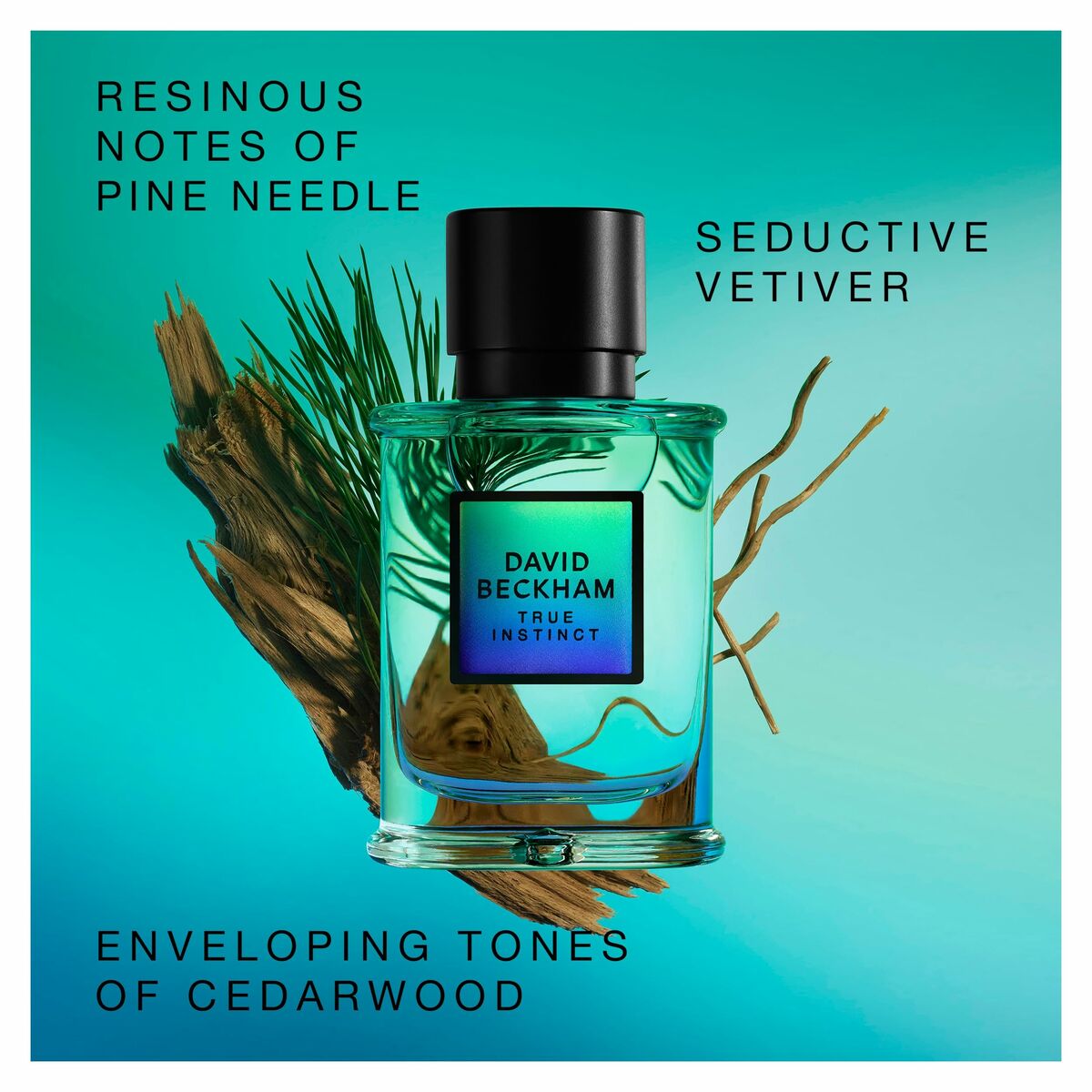 Men's Perfume David Beckham True Instinct EDP 75 ml by David Beckham