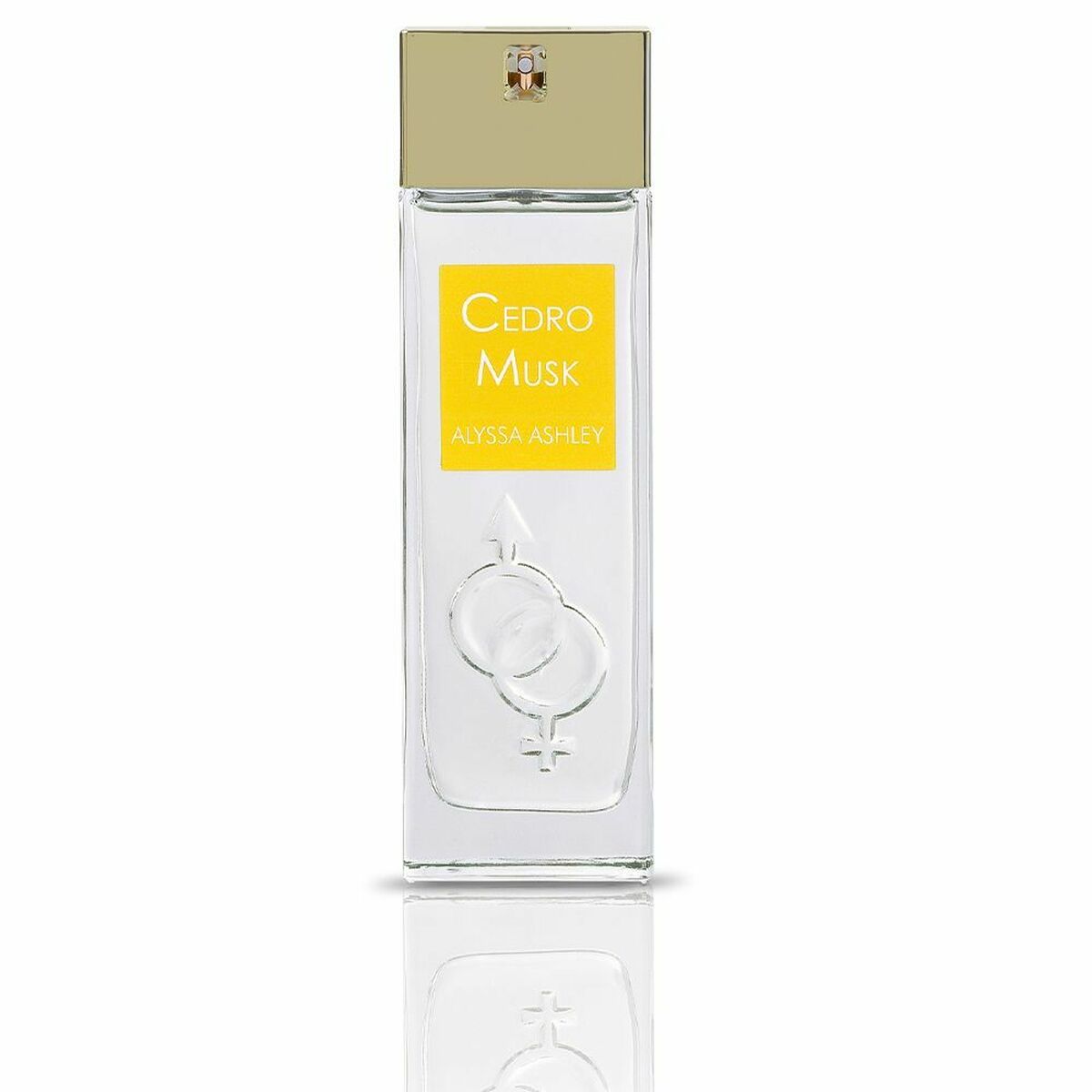 Unisex Perfume Alyssa Ashley Cedro Musk EDP EDP 100 ml by Alyssa Ashley