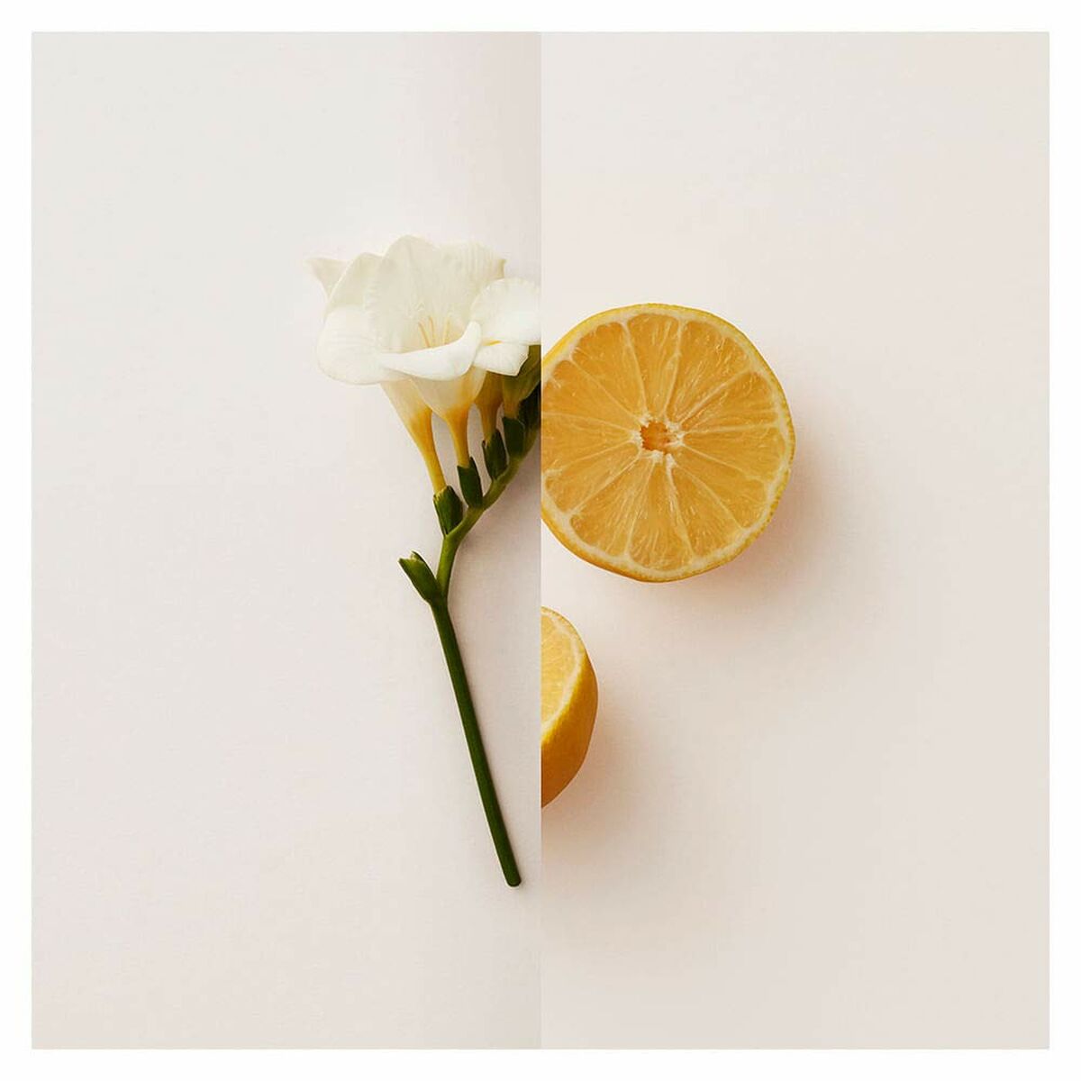 Women's Perfume Burberry My Burberry EDP by Burberry