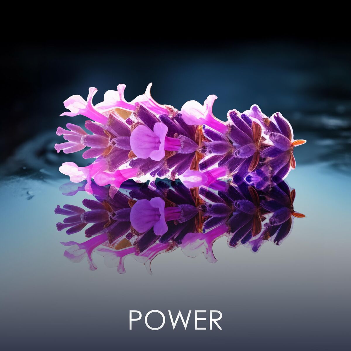 V2H4A36F6CA91908692C006B99824FA8A40R7401131P6