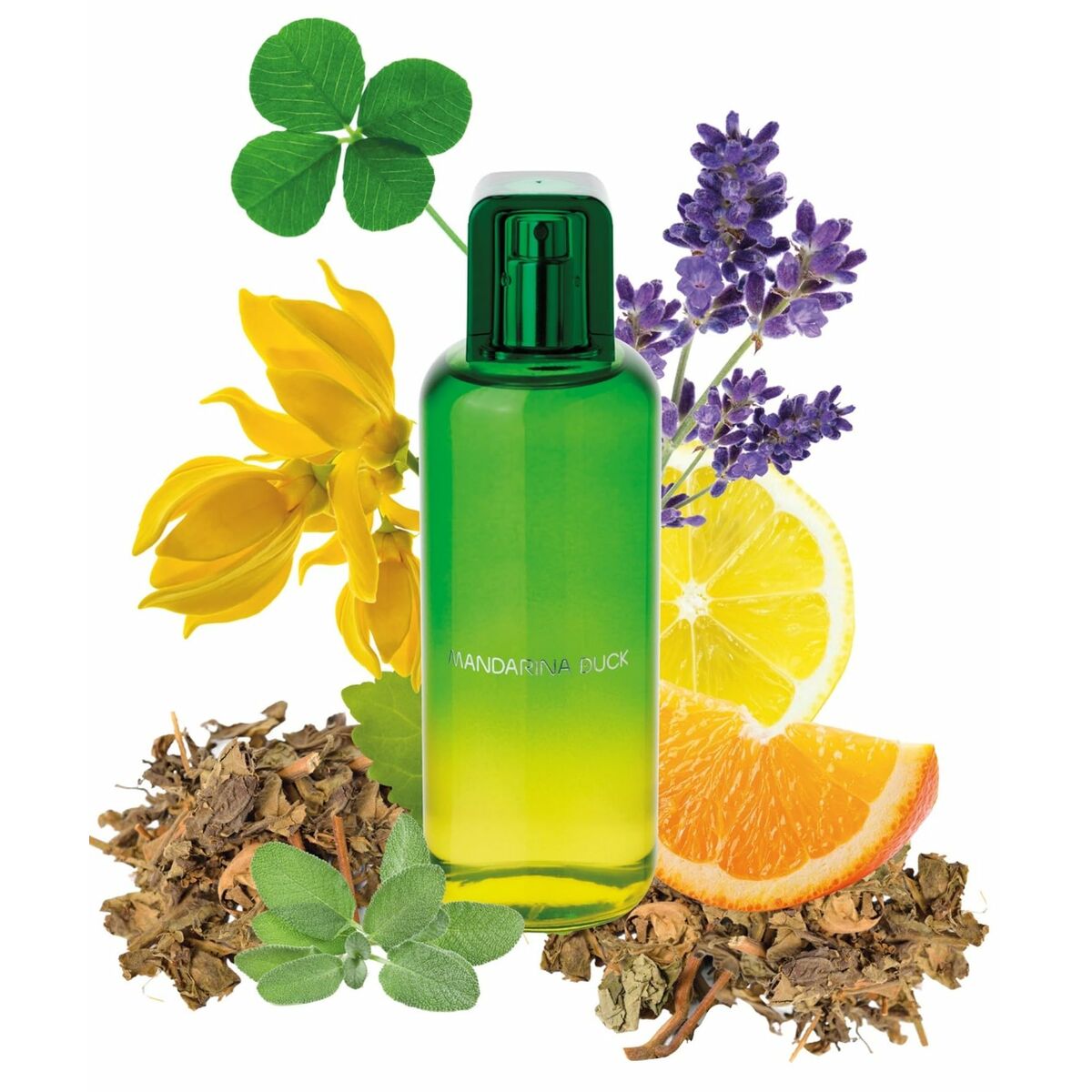 Men's Perfume Mandarina Duck The Mandariners EDT 100 ml by Mandarina Duck