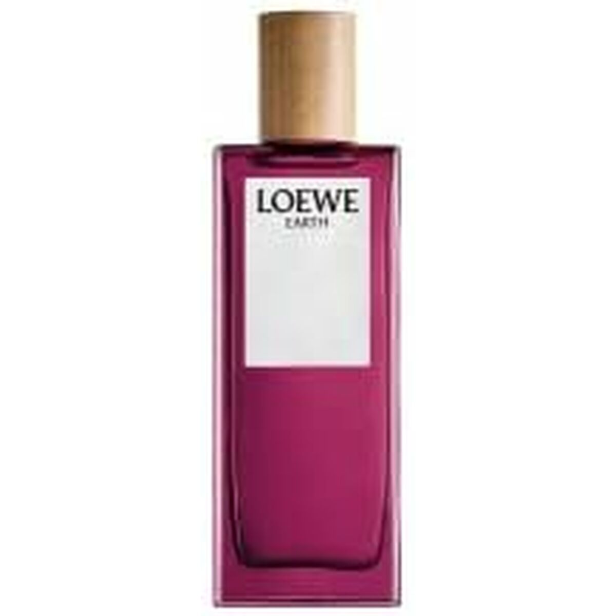 Unisex Perfume Loewe Earth 50 ml by Loewe